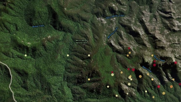 A Geoscience Australia website image showing where bushfires and smaller spot fires are burning around Mount Barney.
