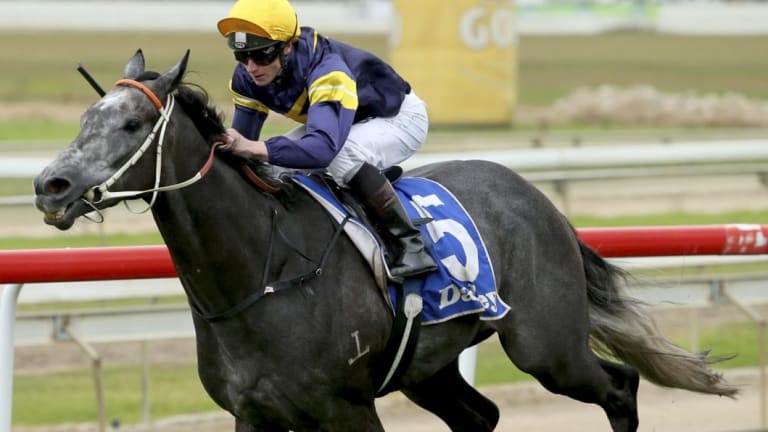 Family affair: a half-sister to Chautauqua will step out at Wyong today.