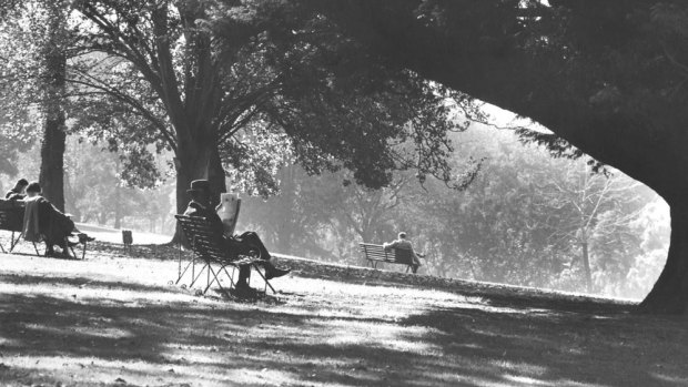 A man reading a newspaper in Alexandra Gardens in the 1930s. 