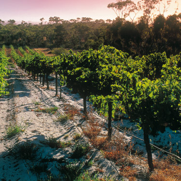 Hardys in McLaren Vale, long loved for its built-to-last reds.