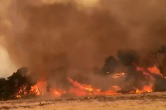 A screengrab of a video taken by Brenton Davis of the Ravine Fire on Kangaroo Island.