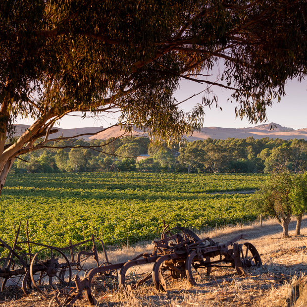 John Duval, a former Penfolds chief winemaker, is building a superb array of wines.