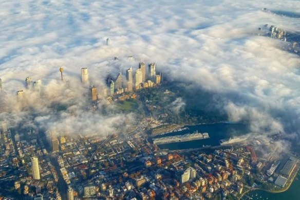 Federal Opposition Leader Anthony Albanese took this photo of smoke over Sydney on a flight to Brisbane. 