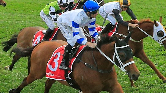 Kolding holds on to win last year’s George Main Stakes third-up from a spell 