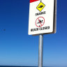 Two Perth beaches to install 24/7 shark alarms
