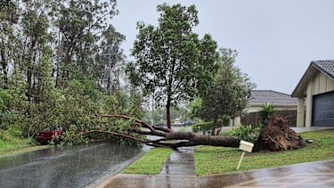 Busby Street in Algester in Brisbane on Monday. 