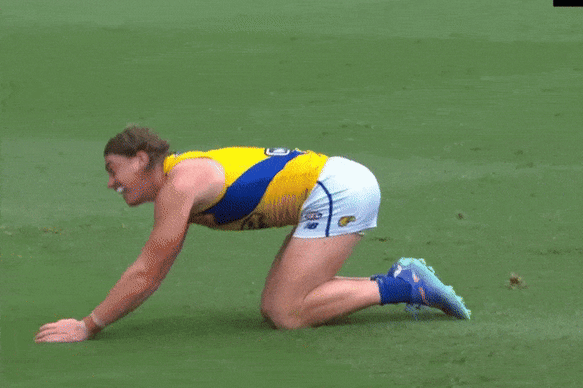 Harley Reid gave the Brisbane crowd the finger.