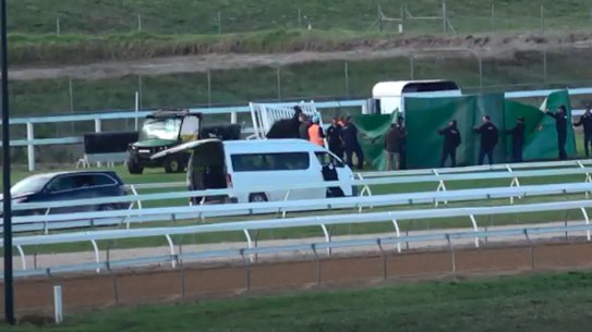 Fulmineus died after a fall at Warrnambool on Wednesday.