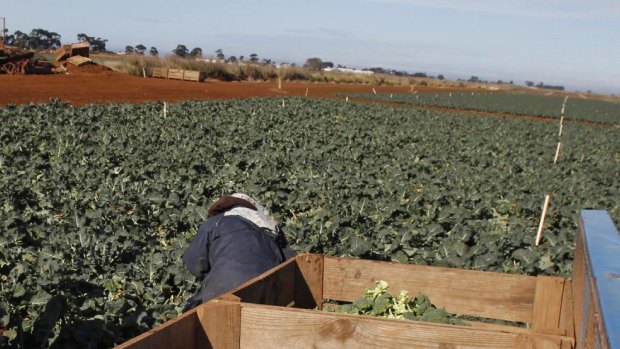 Migrant workers in Australia can be vulnerable for a range of reasons.