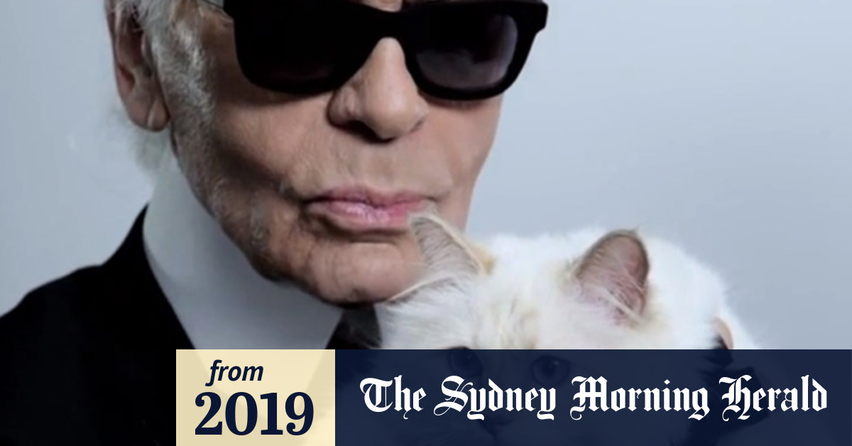 karl lagerfeld s now very wealthy cat