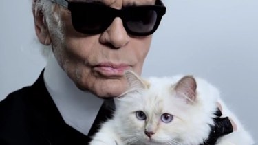 Karl Lagerfeld S Now Very Wealthy Cat Five Things To Know