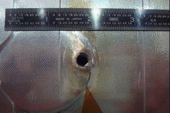 NASA image showing damage to the Endeavour space shuttleâs radiator from space debris. circa 2007