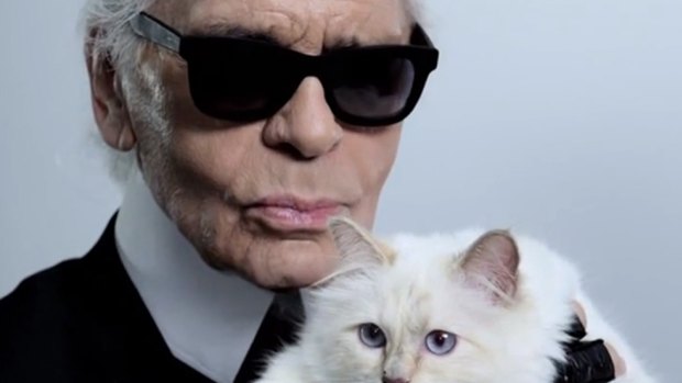 Researchers named one of the spiders in honour of German fashion designer Karl Lagerfeld.