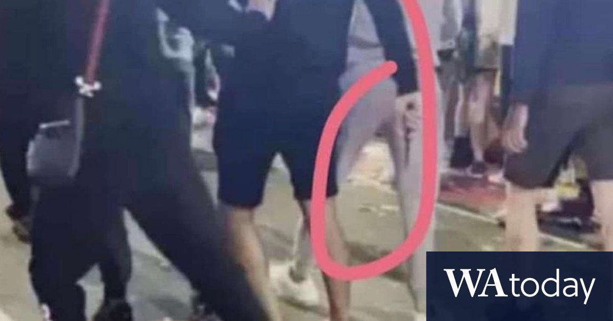 Easter Show stabbing: NSW Police charge 15-year-old following fatal brawl - Vimarsana News