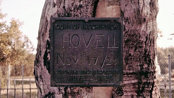 A plaque depicting the original carving by William Hovell on the tree, held together by concrete in 1962
