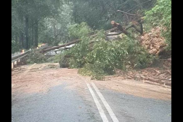 A landslide has occurred on the Springbrook-Gold Coast Road. 