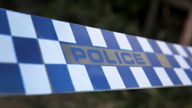 Two teens have been charged over the home invasion.