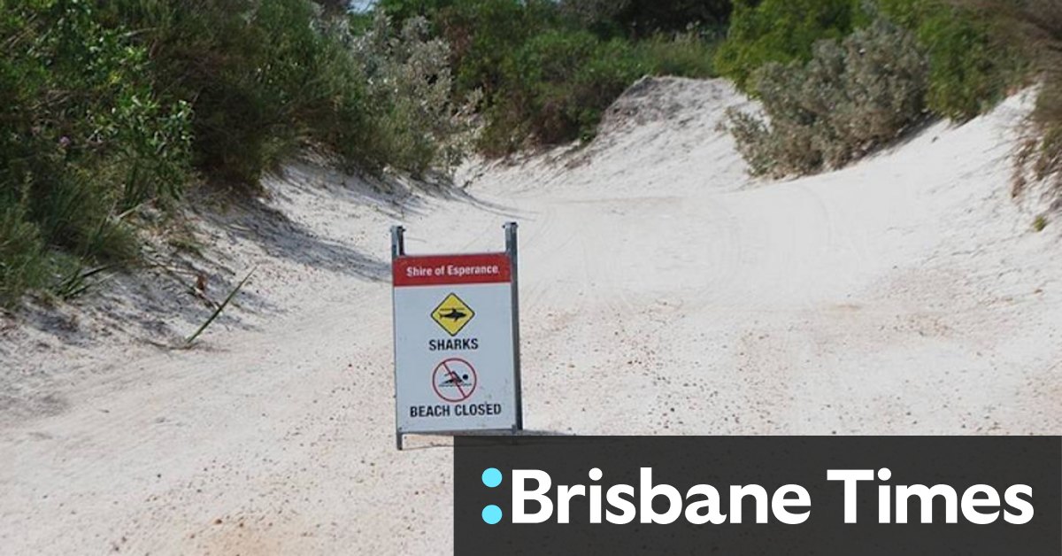 South West beach closed after shark attack - Vimarsana News
