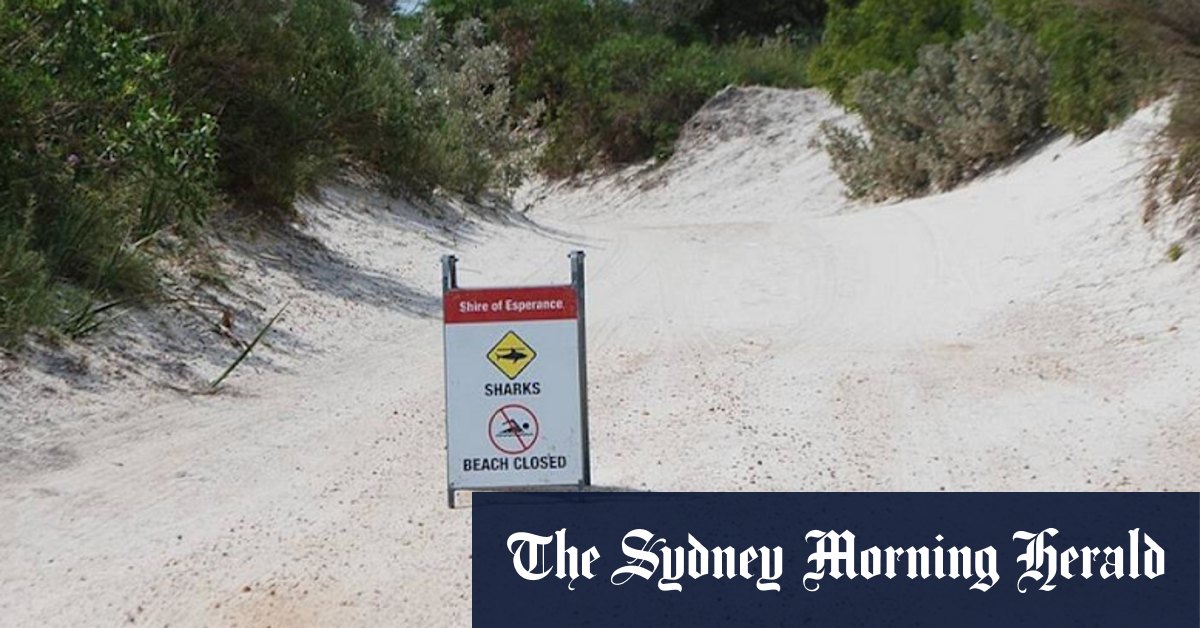 South West beach closed after shark attack - Vimarsana News