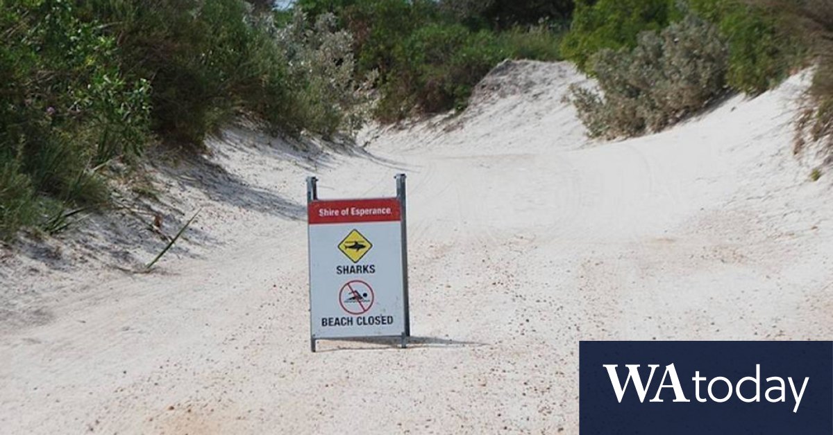 South West beach closed after shark attack - Vimarsana News