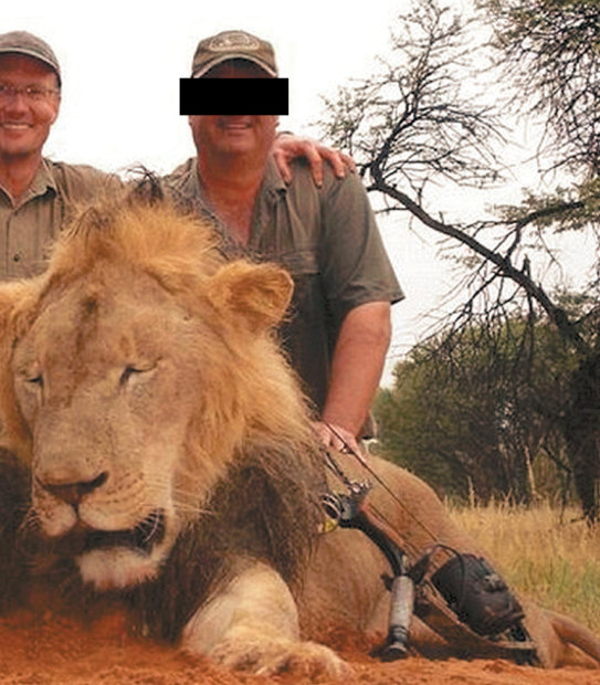 American dentist and big-game hunter Walter Palmer poses with the corpse of a lion.