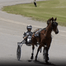 An absolute certainty: Hilly’s lonely trot to victory in Leeton harness walk-over