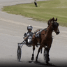 Harness racing solo run.