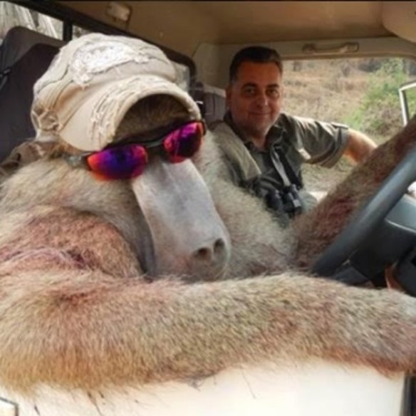 Nick Haridemos was shamed on social media after he posted pictures, including one smiling in a car with a bloodied dead baboon dressed in a hat and sunglasses. 