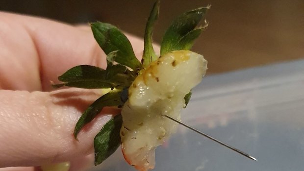 Skye Wilson claims she bit into this pin inside a strawberry purchased from Coles' Eltham store.