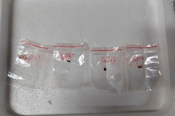 This image provided by a Michigan court shows toxic plant pathogens that a Chinese scientist allegedly entered the US with last year.