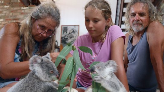 Netflix's Australian-made children's series Izzy's Koala World begins streaming in September.