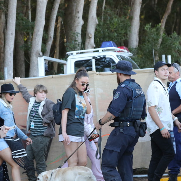 A police sniffer dog checks revellers at a music festival.