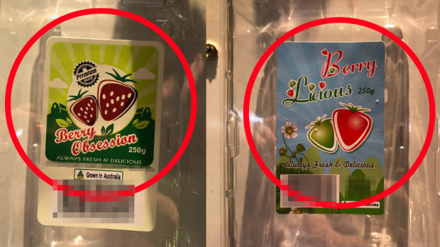 Berry Obsession and Berry Licious, the strawberry brands recalled over sewing needle contamination fears.