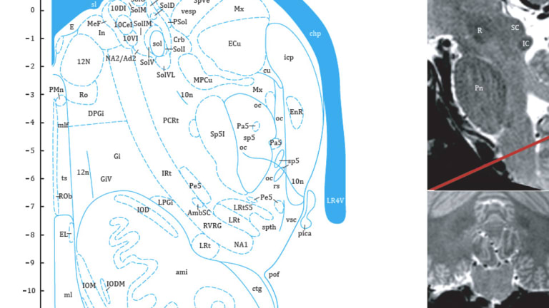 This page, from the Professor's atlas, shows the new region. It is marked ENR, top-right