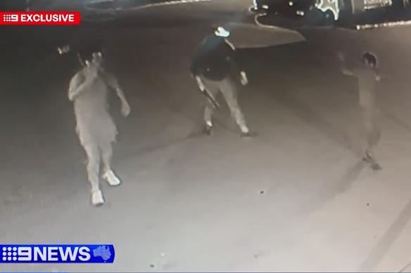 Police claim a tobacco heist at Condell Park turned into a violent kidnapping where Alameddine associates cut the toe off a captive while stealing a tonne of black market product.
