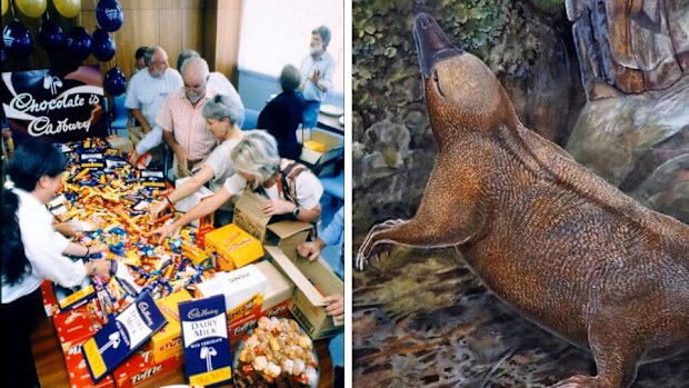 This is the story of Australia’s undisputed Easter creature.