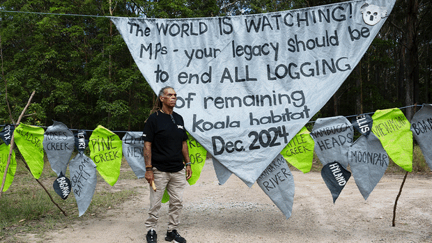 Great Koala National Park