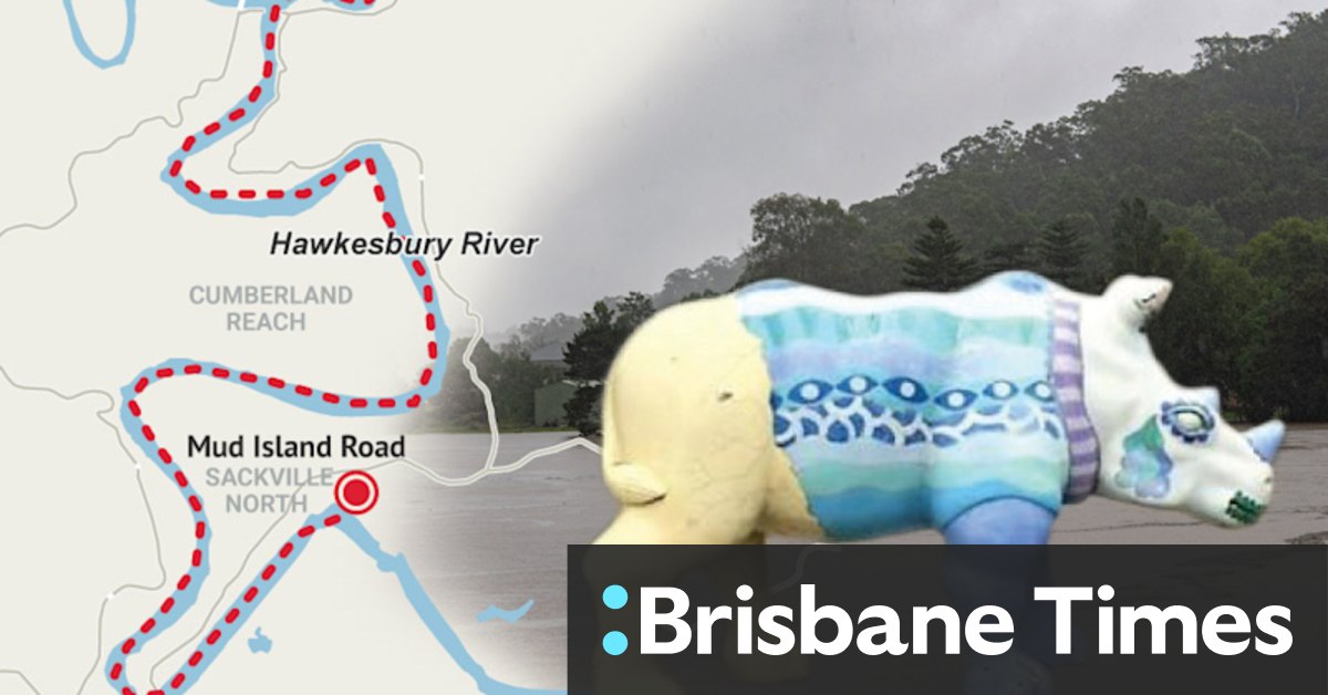 How a 500kg fibreglass rhino named Spenser wandered 18km during the flood - Vimarsana News
