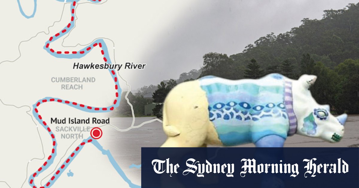 How a 500kg fibreglass rhino named Spenser wandered 18km during the flood - Vimarsana News