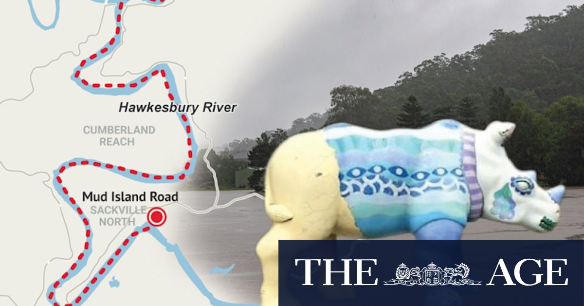 How a 500kg fibreglass rhino named Spenser wandered 18km during the flood - Vimarsana News