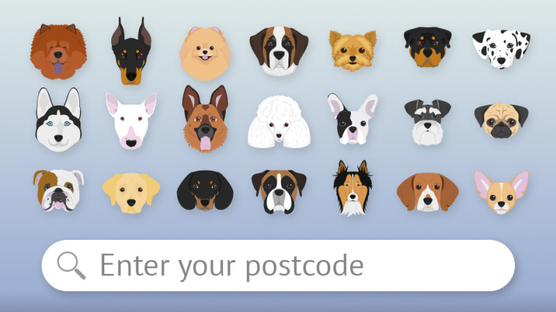 Most favourite shop dog breeds