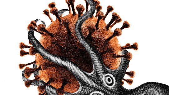 The kraken COVID variant is dominating infections in the US but has only been found in limited numbers in Australia.