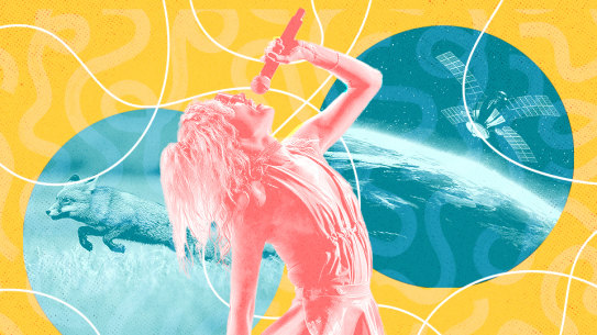 Festivals, foxes and new frontiers ... there’s no shortage of university degrees to choose from.