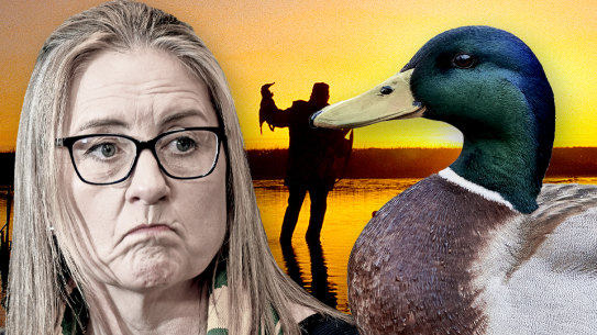 Premier Jacinta Allan is weighing a duck hunting ban. 