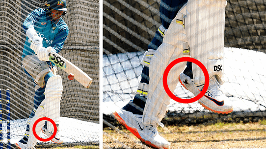 This image of a dove is what Usman Khawaja wanted to wear on his shoes at the Boxing Day Test, but the International Cricket Council said no.