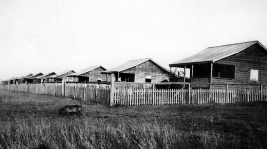 Cottages at the Barambah Aboriginal Settlement in Queensland in 1919.