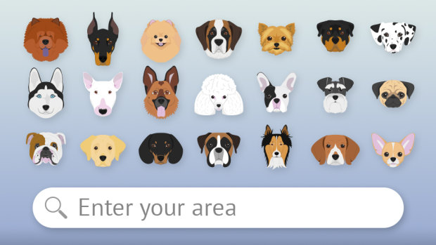 What is the most popular dog breed in your area?