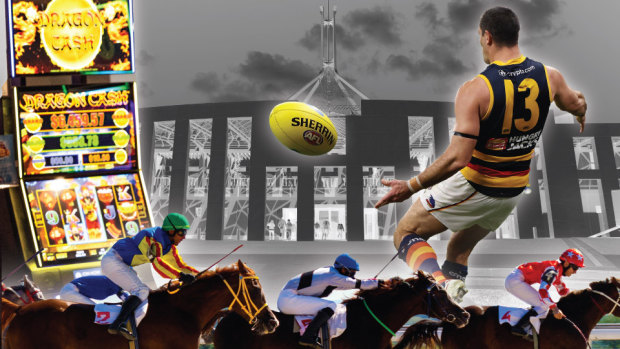 Australian sporting codes are hoping for a watering-down of the late Peta Murphy’s proposed gambling reforms.