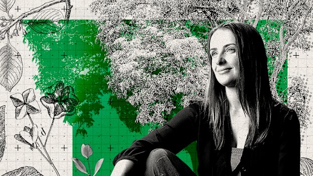 More than 15 billion trees are lost to the world each year.