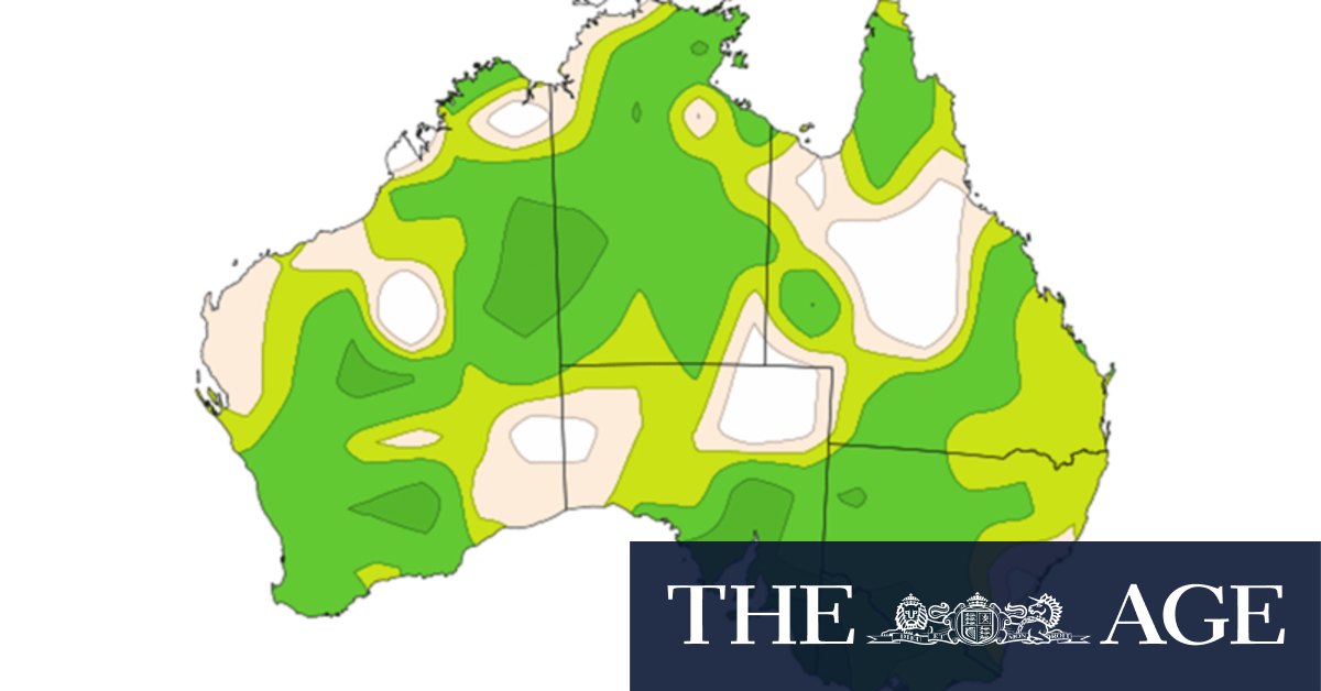 How the BoM failed to predict and warn NSW, Victoria of deadly floods, extreme weather - Vimarsana News
